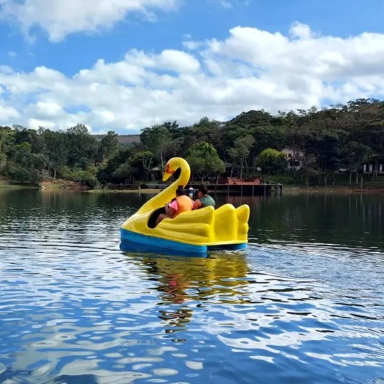 Pedalinho no lago